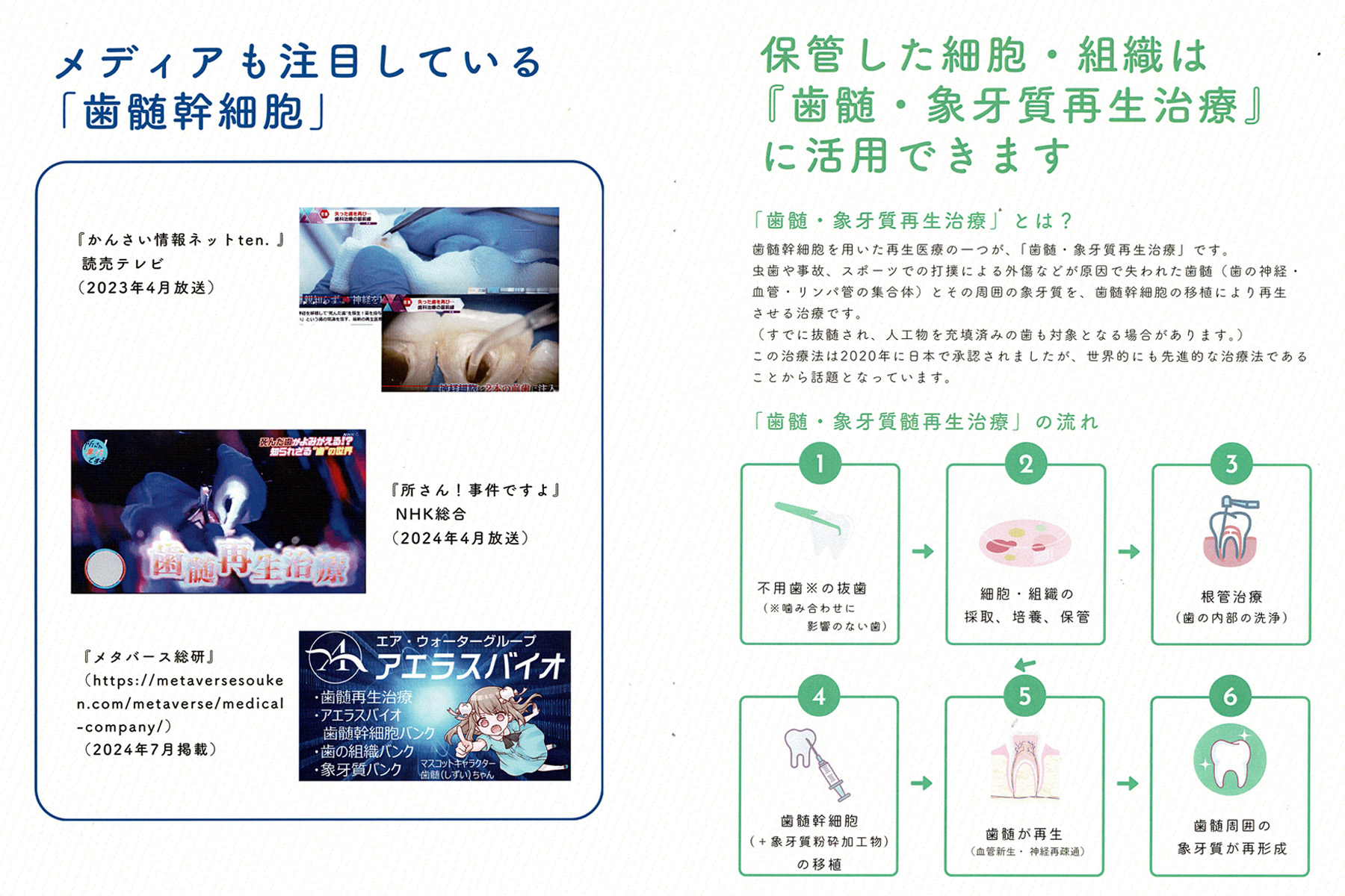 歯髄再生治療 - 東京の根管治療・歯内療法専門医院 | 東京歯内